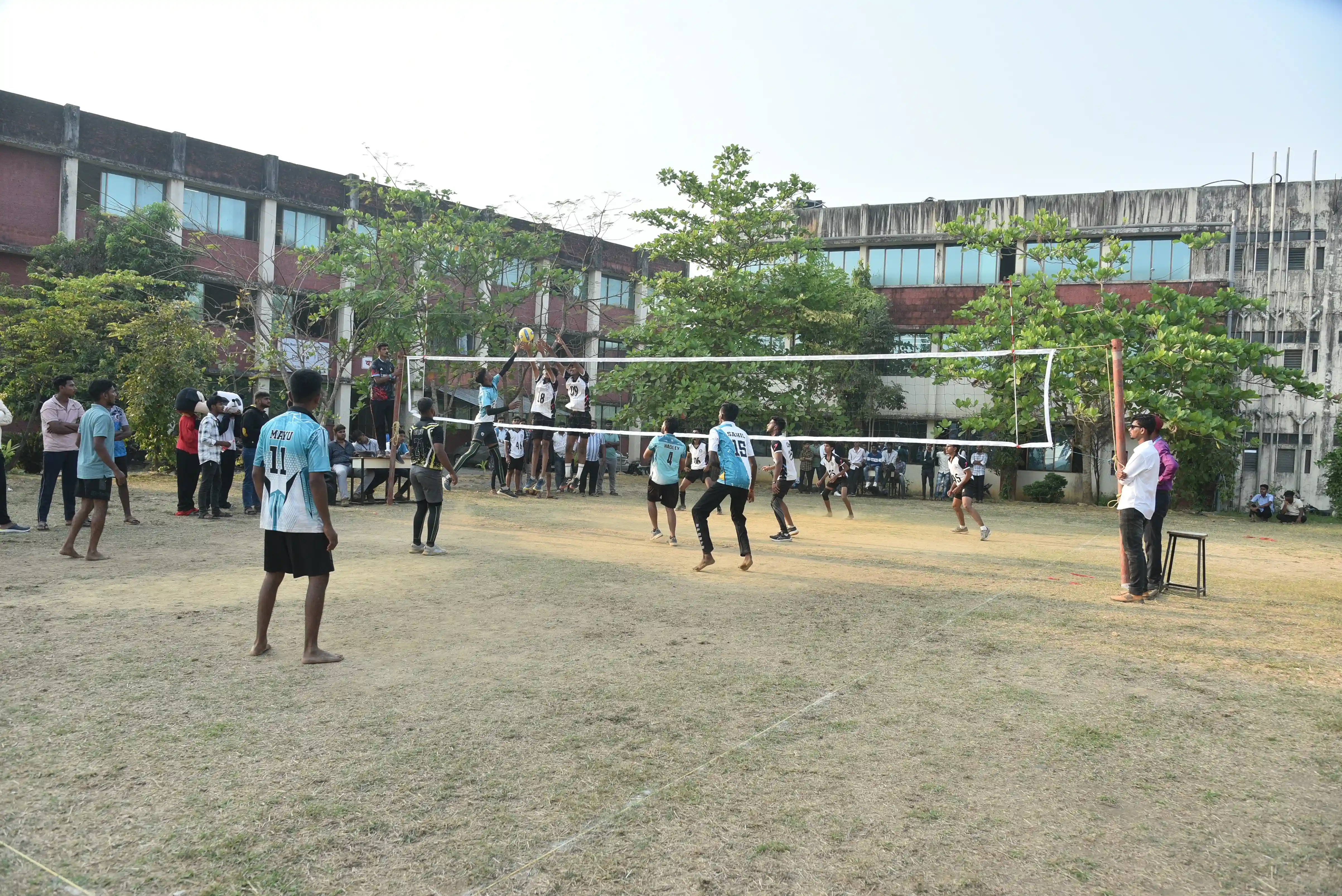 Rex And Metropulse 2025 Image 9